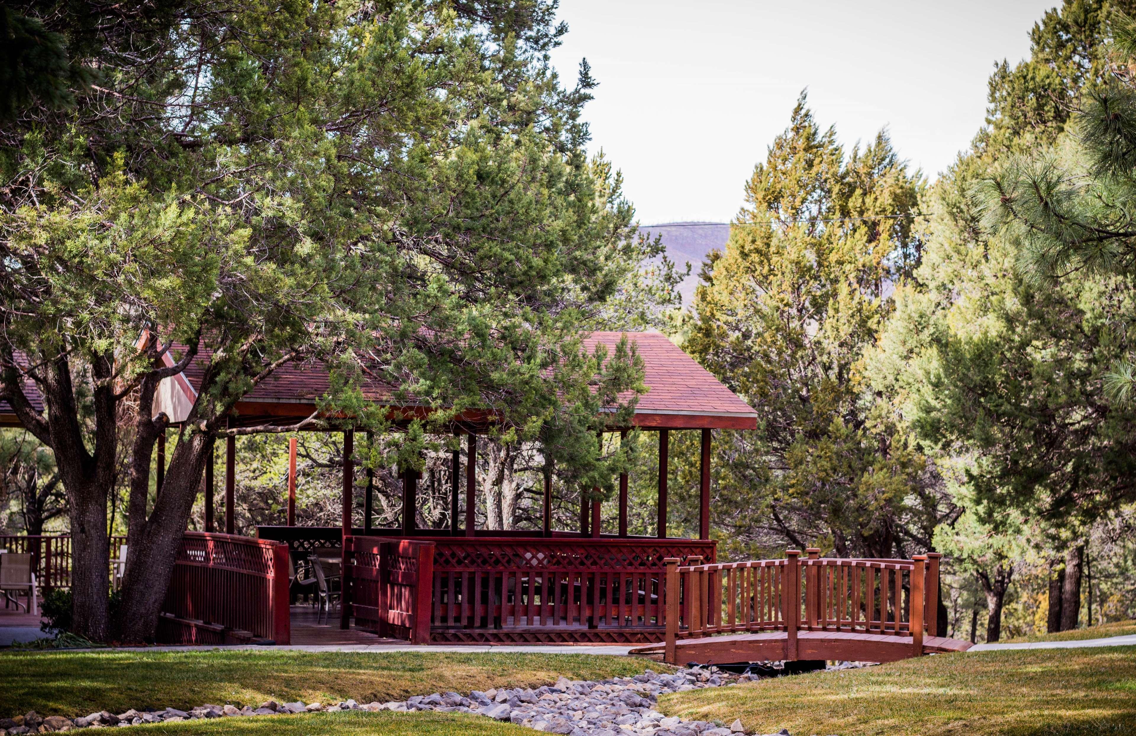 Best Western Pine Springs Inn Ruidoso Downs Dış mekan fotoğraf